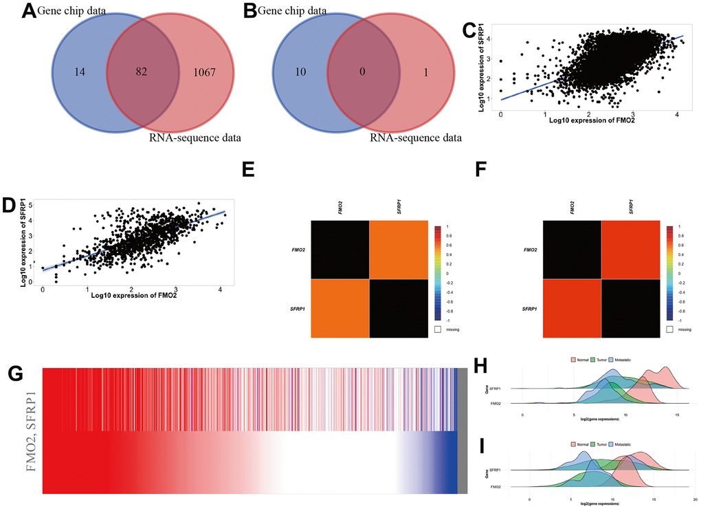 SFRP1 was positively correlated with FMO2 in breast cancer. (A) Venn diagram of positive correlation genes in TNMplot. (B) Venn diagram of negative correlation genes in TNMplot. (C) Scatter diagram in gene chip data of TNMplot. (D) Scatter diagram in RNA-sequence data of TNMplot. (E) Heat map in DNA microarrays data of bc-GenExMiner. (F) Heat map in RNA-sequence data of bc-GenExMiner. (G) Heat map in TCGA breast cancer data of UCSC Xena. (H) Density plot in gene chip data of TNMplot. (I) Density plot in RNA-sequence data of TNMplot.
