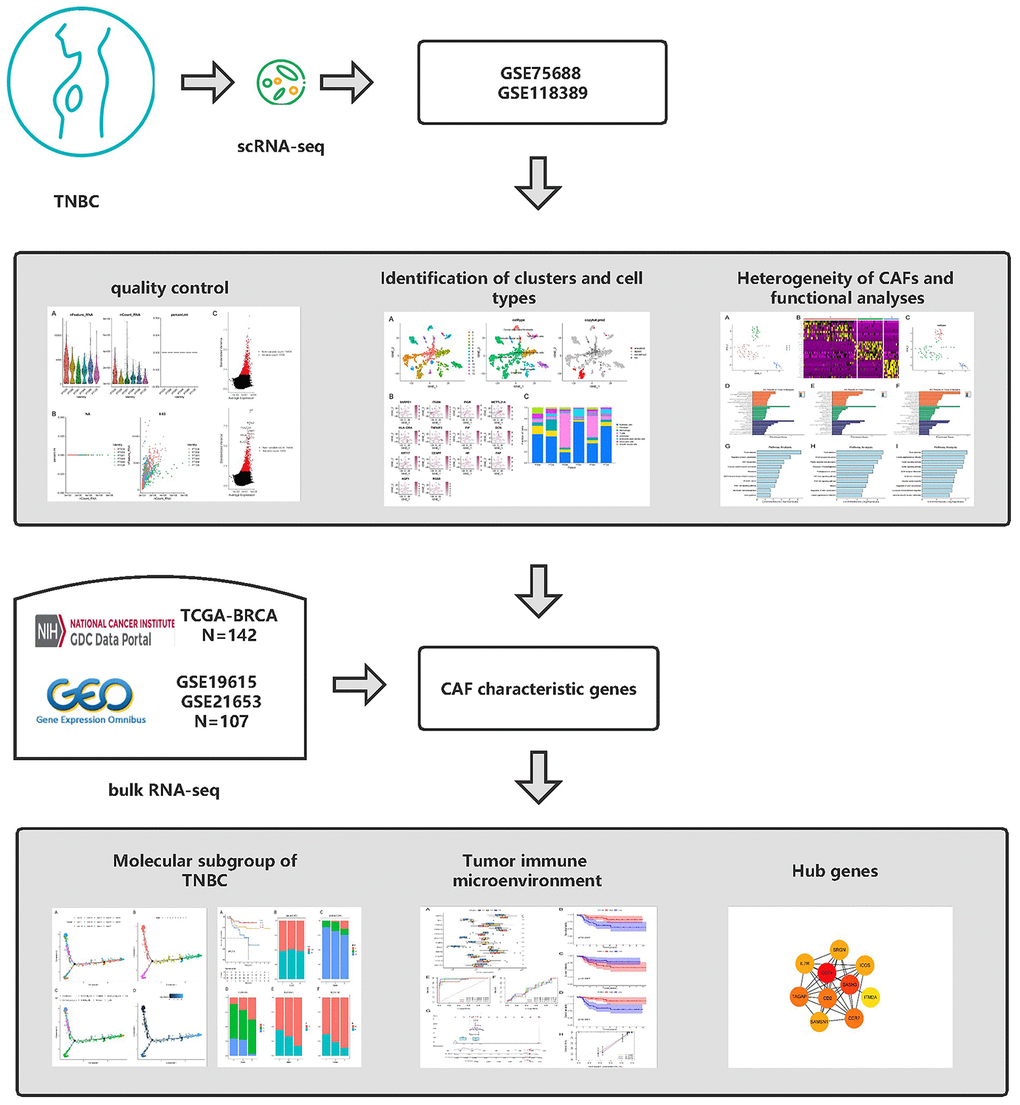 Graphical abstract of the analysis process.