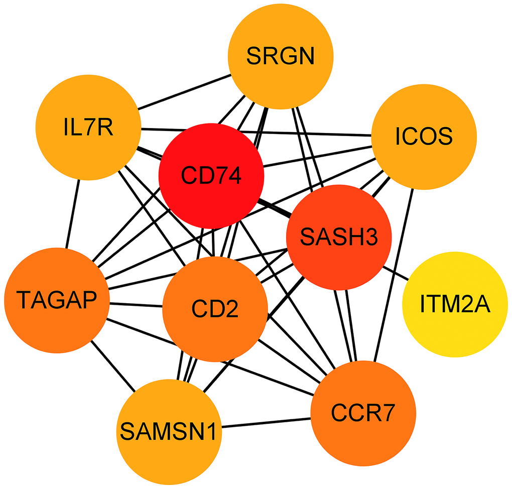 Hub genes obtained from the prognostic predictive model. Note: The dots represent proteins, the lines represent the interaction between proteins, and the color of the dots represents the degree (red: high; yellow: low).