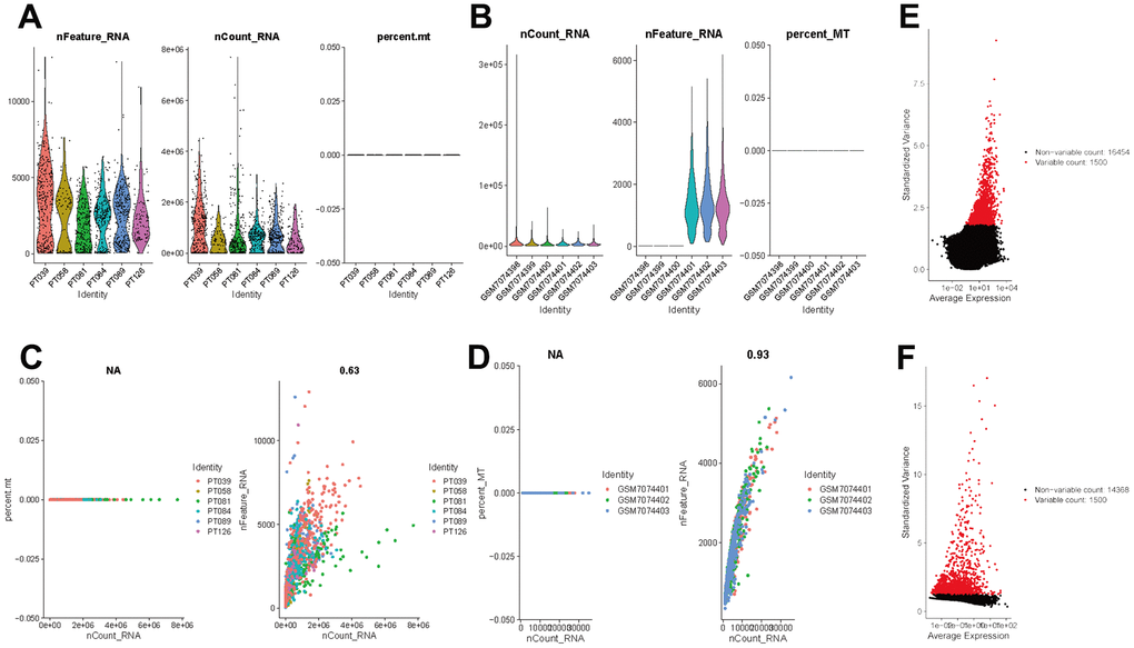 Normalization and quality control of scRNA-seq. (A) Single-cell sequencing depth, counts and fraction of reads mapped to mitochondrial genes in TNBC samples. (B) Single-cell sequencing depth, counts and fraction of reads mapped to mitochondrial genes in breast tissues. (C) Correlation of gene count and percent of mitochondrial genes and features in TNBC. (D) Correlation of gene count and percent of mitochondrial genes and features in breast tissue. (E) The first 1500 genes were screened as variant genes in TNBC samples. (F) The first 1500 genes were screened as variant genes in normal breast.