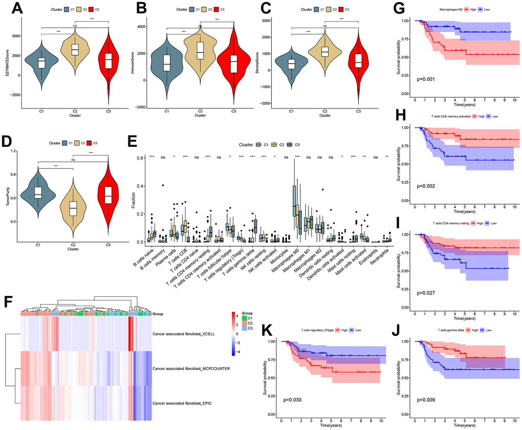 Analysis of the tumor microenvironment among molecular subtypes. (A–D) ESTIMATE score, immune score, stromal score and tumor purity among clusters. (E) Comparison of infiltration of 22 immune cells among clusters. (F–J) Immune cells associated with survival in triple-negative breast cancer patients.