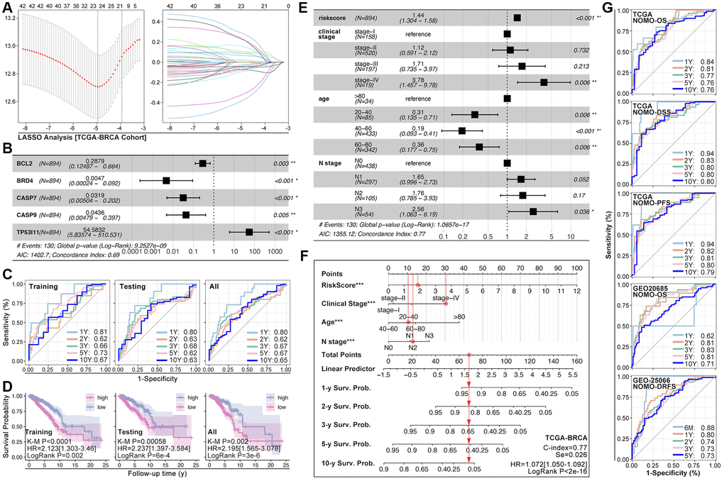 ARGs-based nomogram. (A) LASSO analysis and (B) Multivariate Cox regression screen out five ARGs (BCL2, BRD4, CASP7, CASP9, TP53I11) to construct prognosis prediction model. (C) ROC analysis of prognosis prediction model in training cohort, testing cohort, and all cohort (TCGA data). (D) K-M analysis of multi-gene riskscore model. (E) Multivariate Cox regression selects riskscore, clinical state, age and N stage as components to construct monogram (data from TCGA). (F) Visualization of monogram. (G) ROC analysis of monogram in TCGA cohort and GEO cohort.