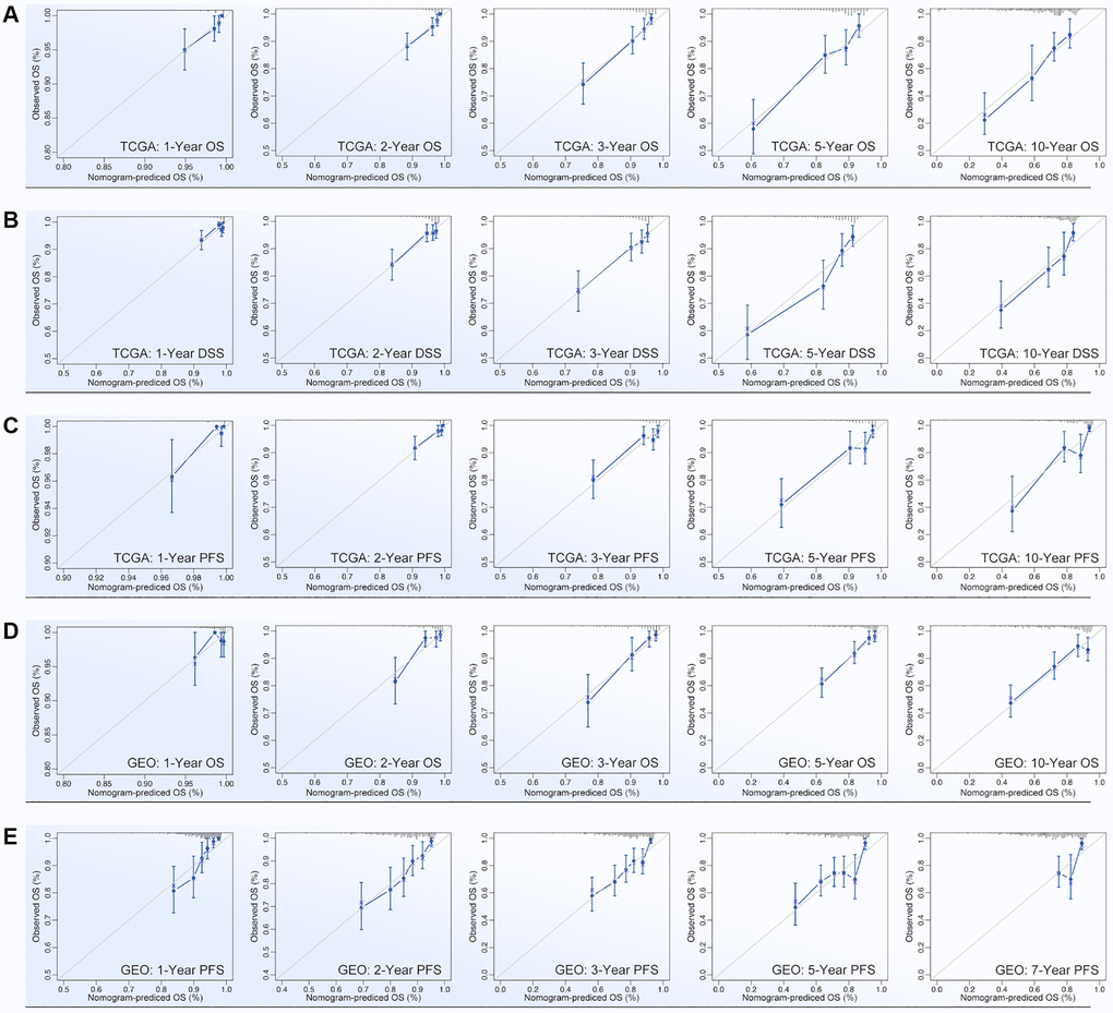 Calibration of nomogram. Calibration of (A) OS-prediction, (B) disease stable survival (DSS), (C) progression free survival (PFS) in monogram (data from TCGA). Calibration of (D) OS-prediction and (E) PFS in monogram (data from GEO).