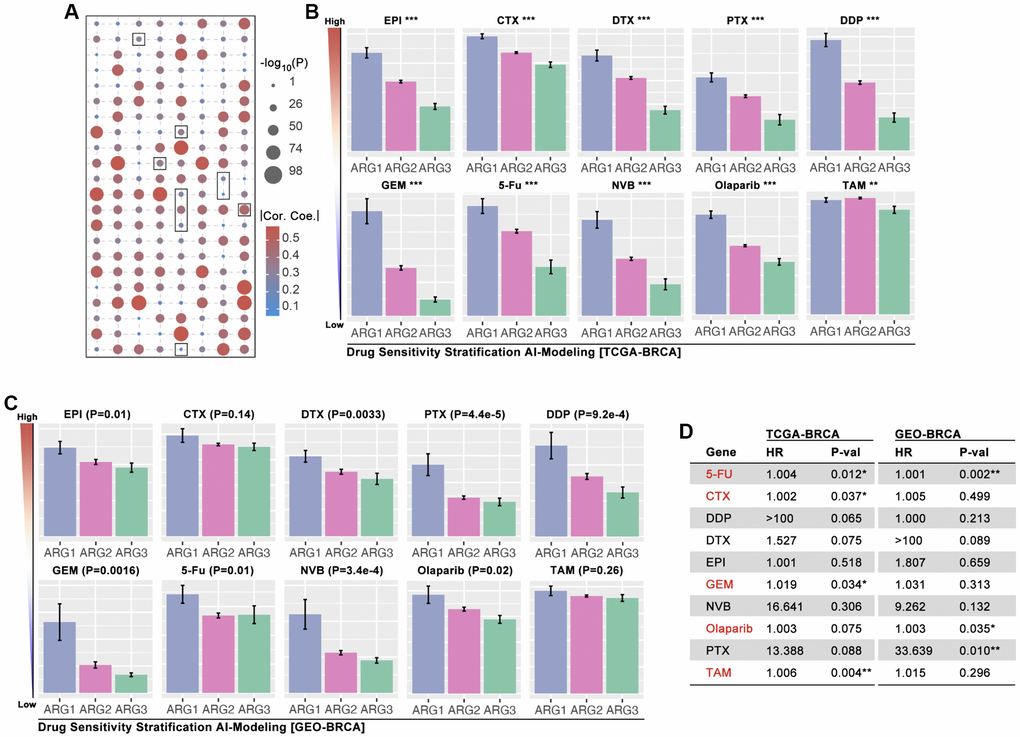AI-based drug sensitivity stratification. (A) Correlation between drug score and anoikis pathway score, in which selected one are EPI, CTX, DTX, PTX, DDP, GEM, 5-Fu, NVB, Olaparib, and TAM (data from TCGA). (B) Drug score differences amongst ARG subgroups of BRCA (* means p ** means p *** means p C) Drug score differences amongst ARG subgroups of BRCA (data from GES20685, GSE42568, GSE58812). (D) HR of drug scores in TCGA cohort and GEO cohort of BRCA.