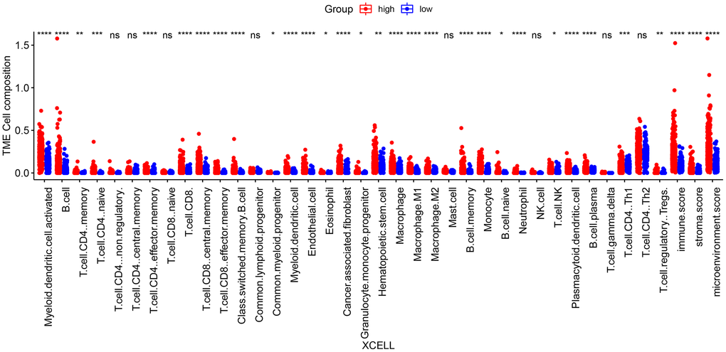 Differences in immune cell infiltration between high-risk and low-risk groups according to the XCELL algorithm. (*p **p ***p ****p p > 0.05).