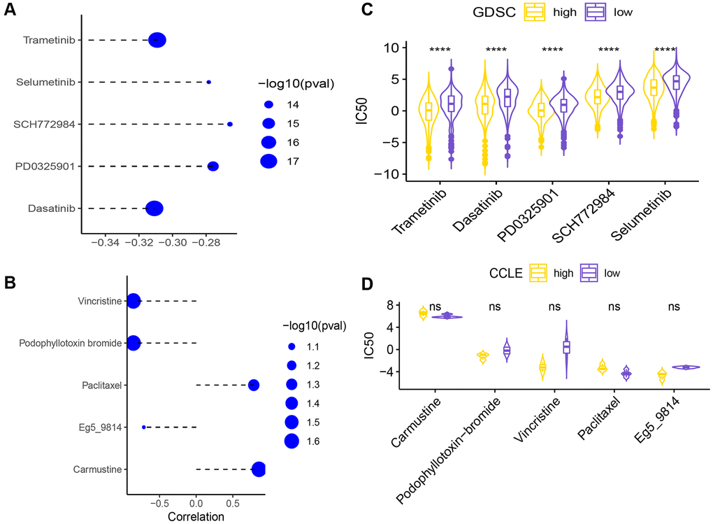 (A) Correlation of the necroptosis signature with the sensitivity (IC50) to five drugs. (B) Differences in IC50 of 5 drugs between the high-risk and low-risk groups (****p C). The difference analysis of the sensitivity data (IC50) of the five drugs in the high and low groups (D) (ns p > 0.05).