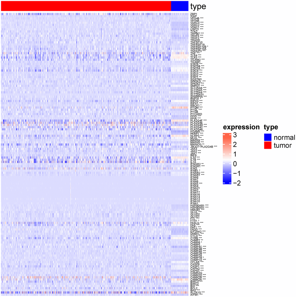 Heat map showing expression of necroptosis genes in normal group and lung squamous cell carcinoma group. (*p **p ***p ****p 