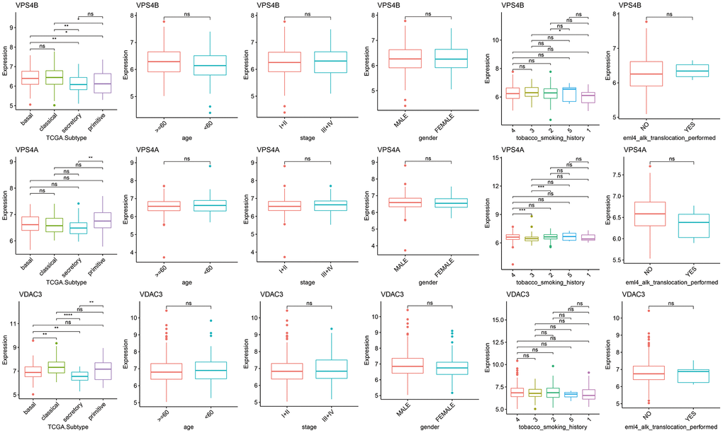 Differences in the expression of necroptosis genes among the clinical subgroups. (*p **p ***p ****p p > 0.05).