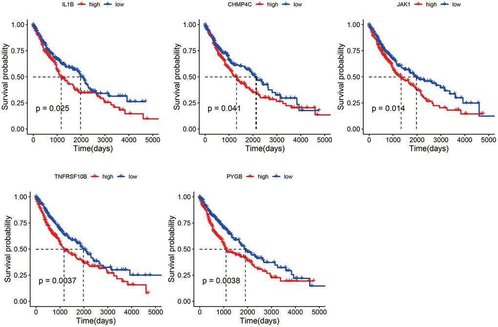 Survival curves of LUSC patients demarcated on the basis of the median expression of necroptosis genes.