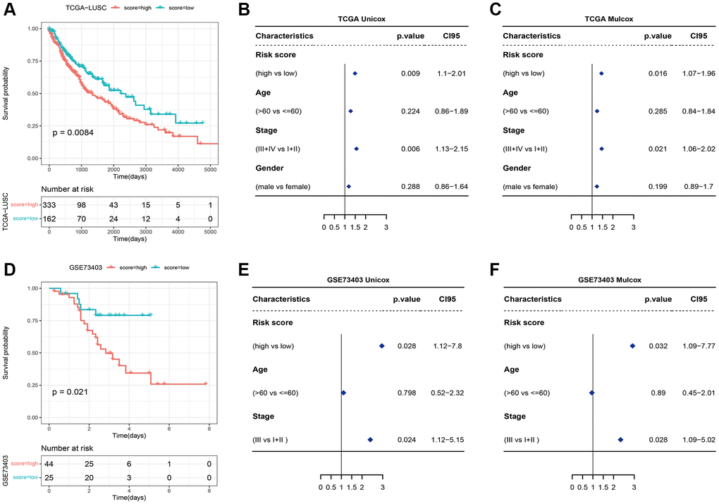 (A) Survival curves of high-risk and low-risk groups based on the necroptosis signature. (B) Univariate and (C) multivariate analyses of the necroptosis signature. (D) Survival curve of high-risk and low-risk groups in the GSE73403 dataset. (E) Univariate and (F) multivariate Cox analyses of the necroptosis signature in the GSE73403 dataset.