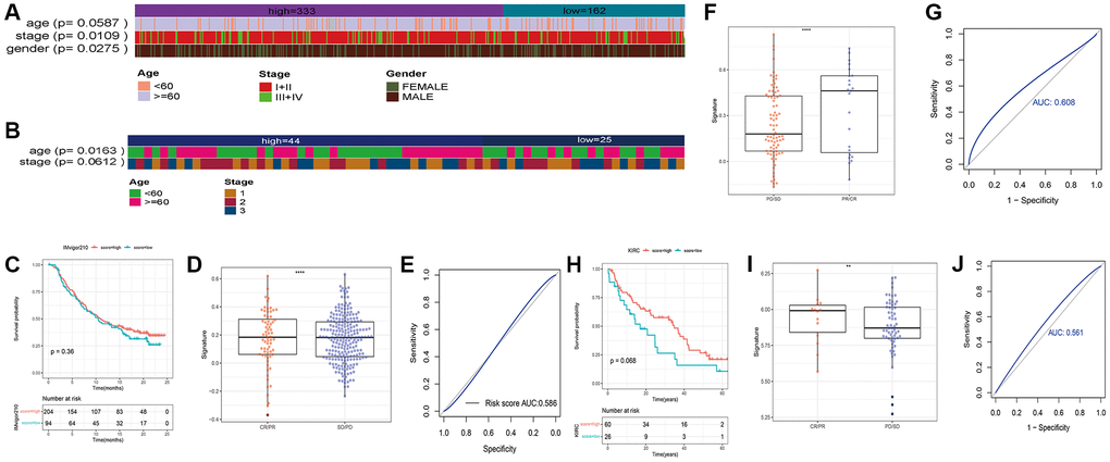 Heatmaps showing of the distribution of clinical features between the two risk groups in (A) TCGA