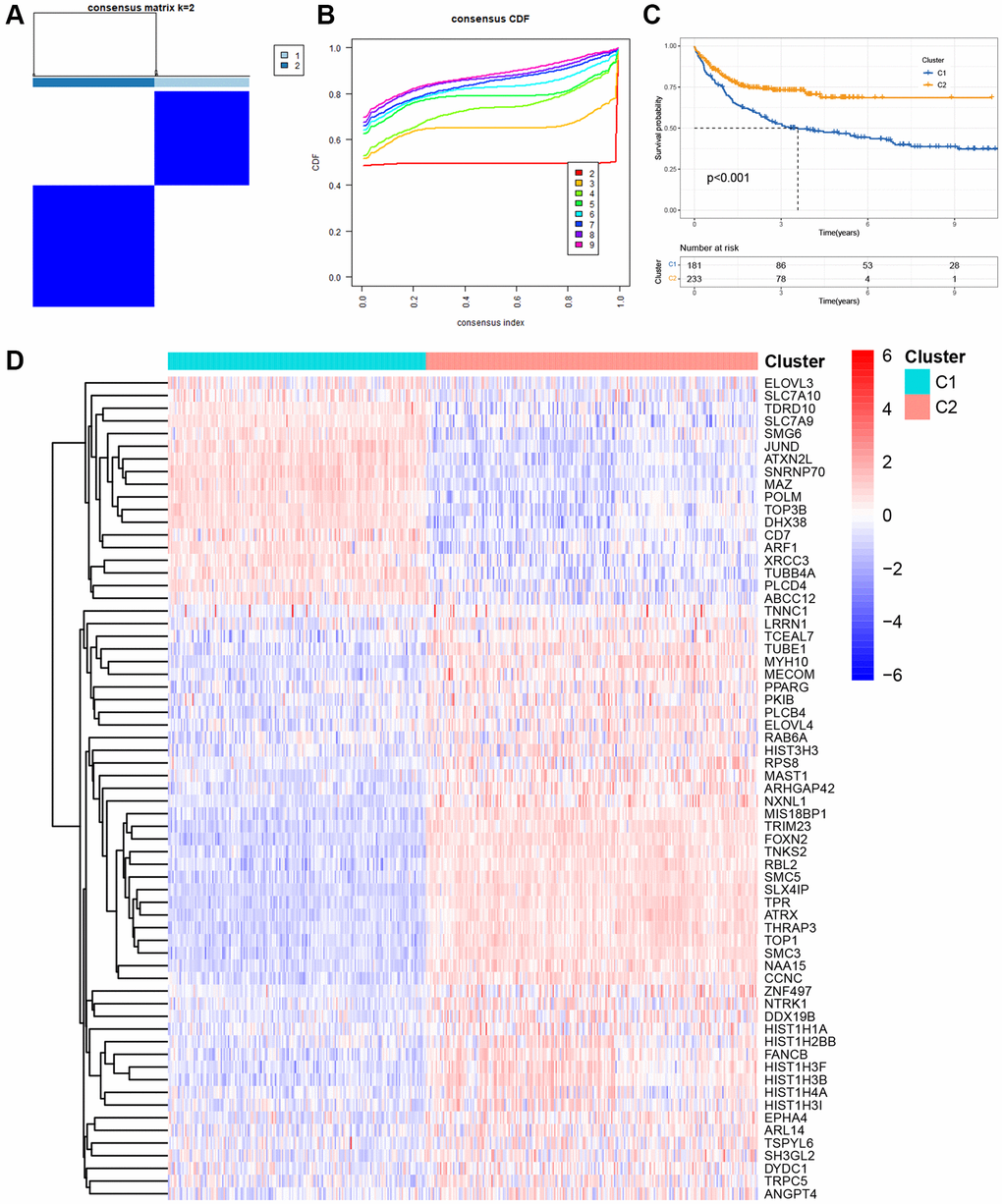 Molecular clustering based on the TRGs in DLBCL. (A) The consensus matrix by cluster analysis based on TRGs. Two clusters (k = 2) would be best. (B) Consensus clustering CDF with k value 2 in GSE10846 dataset. (C) Kaplan-Meier curves of OS in two clusters. (D) Heatmap of 65 differentially expressed genes in TRGs between clusters 1 and 2.