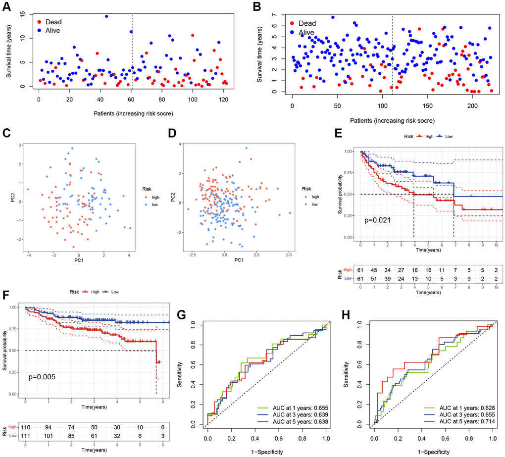 Validation of the TRGs-based scoring model. (A, B) The survival statuses of DLBCL patients in (A) GSE10846 testing cohort and (B) GSE87371 cohort. (C, D) The PCA of DLBCL patients in (C) GSE10846 testing cohort and (D) GSE87371 cohort. (E, F) Kaplan-Meier curves of OS based on TRGs score in (E) GSE10846 testing cohort and (F) GSE87371 cohort. (G, H) Time-dependent ROC analyses of the ARG score in (G) GSE10846 testing cohort and (H) GSE87371 cohort.