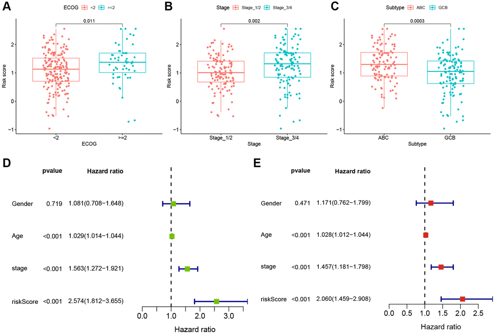 Clinical correlations and independent prognosis value of TRGs risk model. (A–C) TRGs risk scores in different DLBCL subgroups of (A) EOCG, (B) stage and (C) subtype. (D) Univariate Cox regression analysis of TRGs score and clinical features in GSE10846 training cohort. (E) Multivariate Cox regression analysis of TRGs score and clinical features in GSE10846 training cohort.