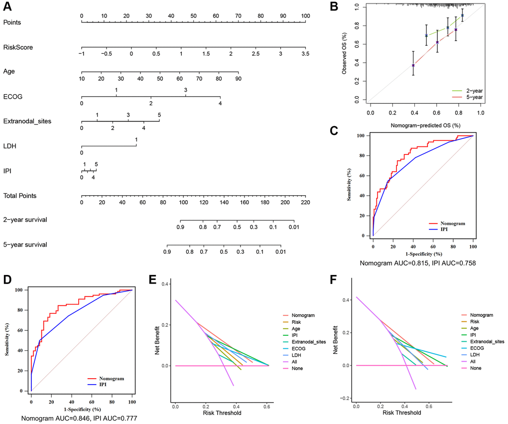 A nomogram based on the TRGs risk score, IPI score and clinical features. (A) A nomogram for the prediction of DLBCL patients’ 2- and 5-year survival probability according to the TRGs score, IPI score and clinical factors. (B) Nomogram-predicted percentages and the observed probabilities of 2- and 5-year survival. (C, D) Time-dependent ROC analysis of the nomogram and IPI score at 2- (C) and 5-year (D) survival. (E, F) DCA of the constructed nomogram compared with different indicators at 2- (E) and 5-year (F) survival.