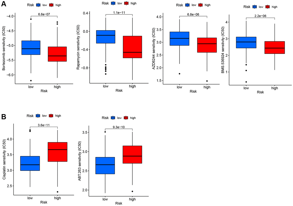 IC50 of six drugs between low-risk and high-risk groups. (A) The high-risk group exhibited more sensitivity to the four drugs compared to the low-risk group. (B) The high-risk group exhibited less sensitivity to the two drugs compared to the low-risk group.