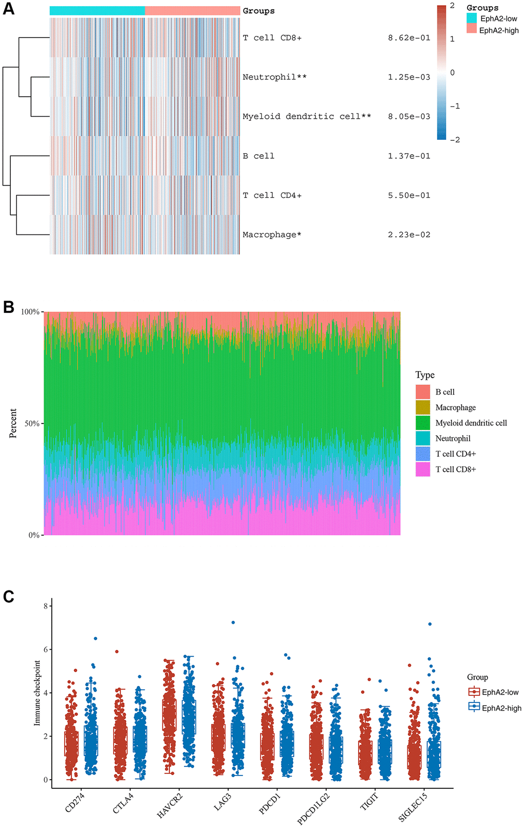 Correlation between EphA2 expression and various immune cells infiltration of colorectal cancer. (A) Heat map showing the level of immune cell infiltration in EphA2 differentially expressed colorectal cancer patients. (B) Percentage abundance of tumour-infiltrating immune cells per sample. (C) Expression distribution of immune checkpoint of colorectal cancer samples with differential EphA2 expression. *stands for significance levels, * for p **p 