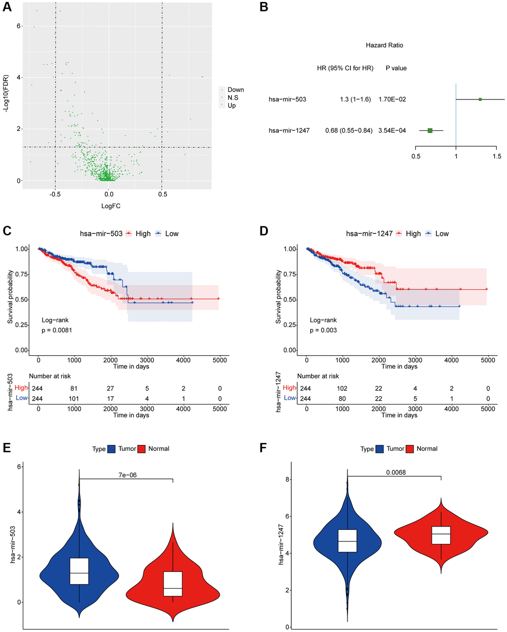 hsa-mir-503 and hsa-mir-1247 were associated with prognosis of PC. (A) Volcanic map of differential expression of miRNAs. The blue dots were down-regulated miRNAs, and the red dots were up-regulated miRNAs. (B) Univariate analysis of two miRNAs significantly associated with DFS. Abbreviation: HR: hazard ratio. 95% CI: 95% confidence interval. (C, D) KM survival curve. p value was obtained based on log-rank test. (E, F) Violin diagram of differential expression levels of two miRNAs in cancer and para-cancer samples. P value was calculated by Wilcoxon method.