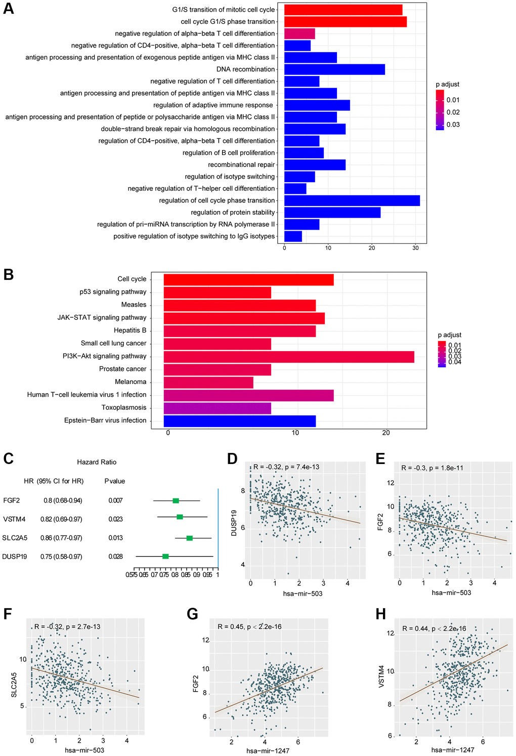 Results of functional enrichment analysis and correlation analysis. (A) Histogram of the top 20 GO terms with the most significant enrichment (the horizontal axis was the number of genes, and the vertical axis was the name of GO terms). (B) Histogram of the 12 KEGG pathways with the most significant enrichment (the horizontal axis represented the number of genes, and the vertical axis represented the name of KEGG pathway). (C) Univariate analysis of three mRNAs significantly associated with DFS. Abbreviation: HR: hazard ratio. 95% CI: 95% confidence interval. (D–H) Correlation scatter with fitting line.