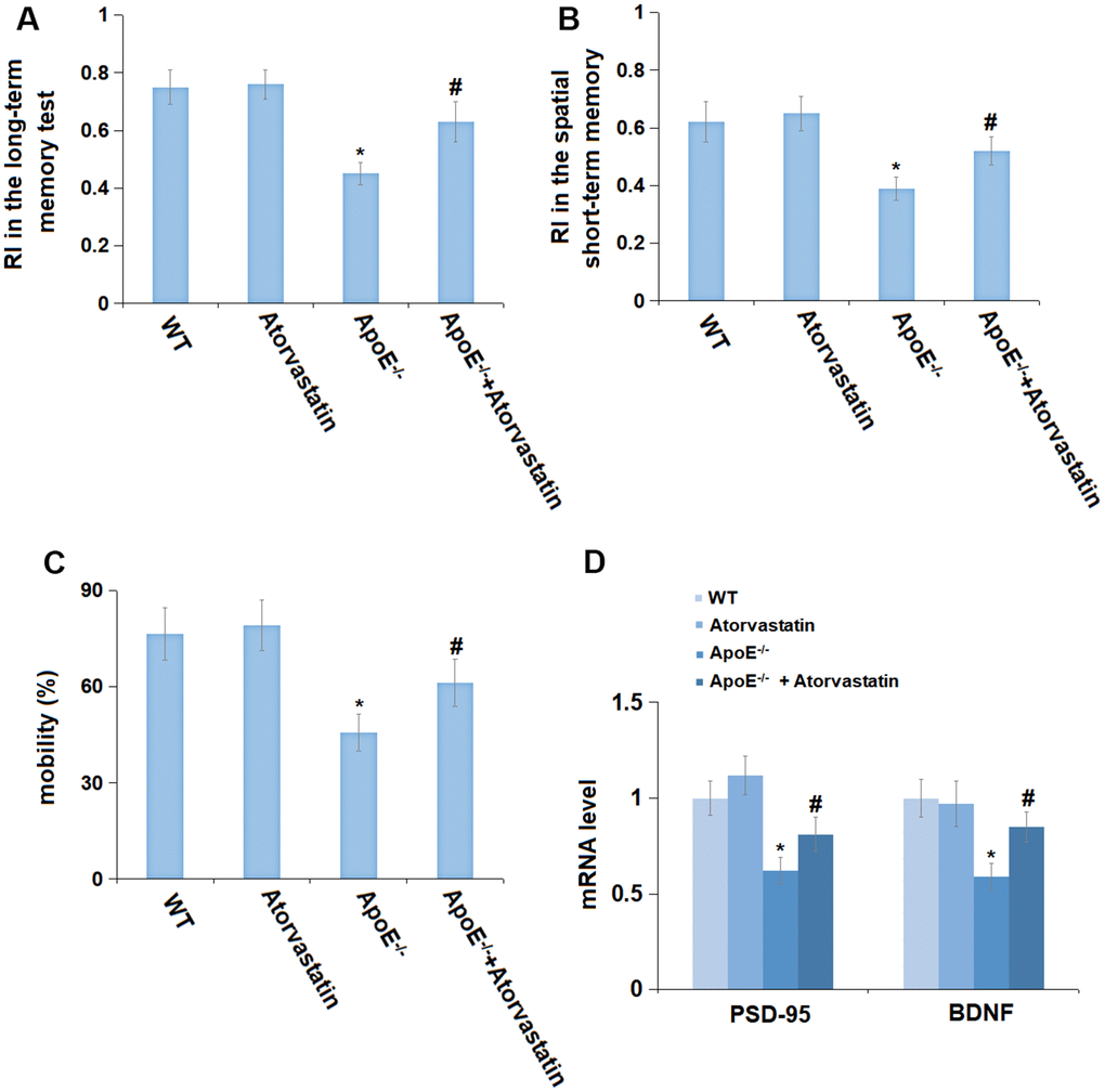 Treatment with Atorvastatin alleviated memory impairment in aged ApoE-/- mice. (A) Recognition index (RI) in the long-term memory test; (B) Recognition index (RI) in the spatial short-term memory test; (C) The mobility (%) was measured in the open field test. (D) The mRNA level of PSD-95 and BDNF in the hippocampus tissue was checked by RT-PCR (*, P-/- mice group).