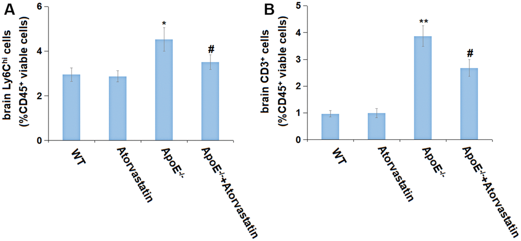 Atorvastatin repressed the monocyte infiltration in aged ApoE-/- mice. (A) The percentage of brain Ly6Chi cells (%CD45+ viable cells) was detected by flow cytometry; (B) The percentage of brain CD3+ cells (%CD45+ viable cells) was detected by flow cytometry (*, **, P-/- mice group).