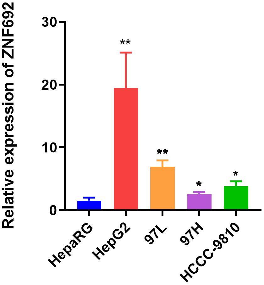 Expression of ZNF692 in normal hepatic epithelial cell HepaRG, and HCC lines HepG2, 97L, 97H, and HCCC-9810.