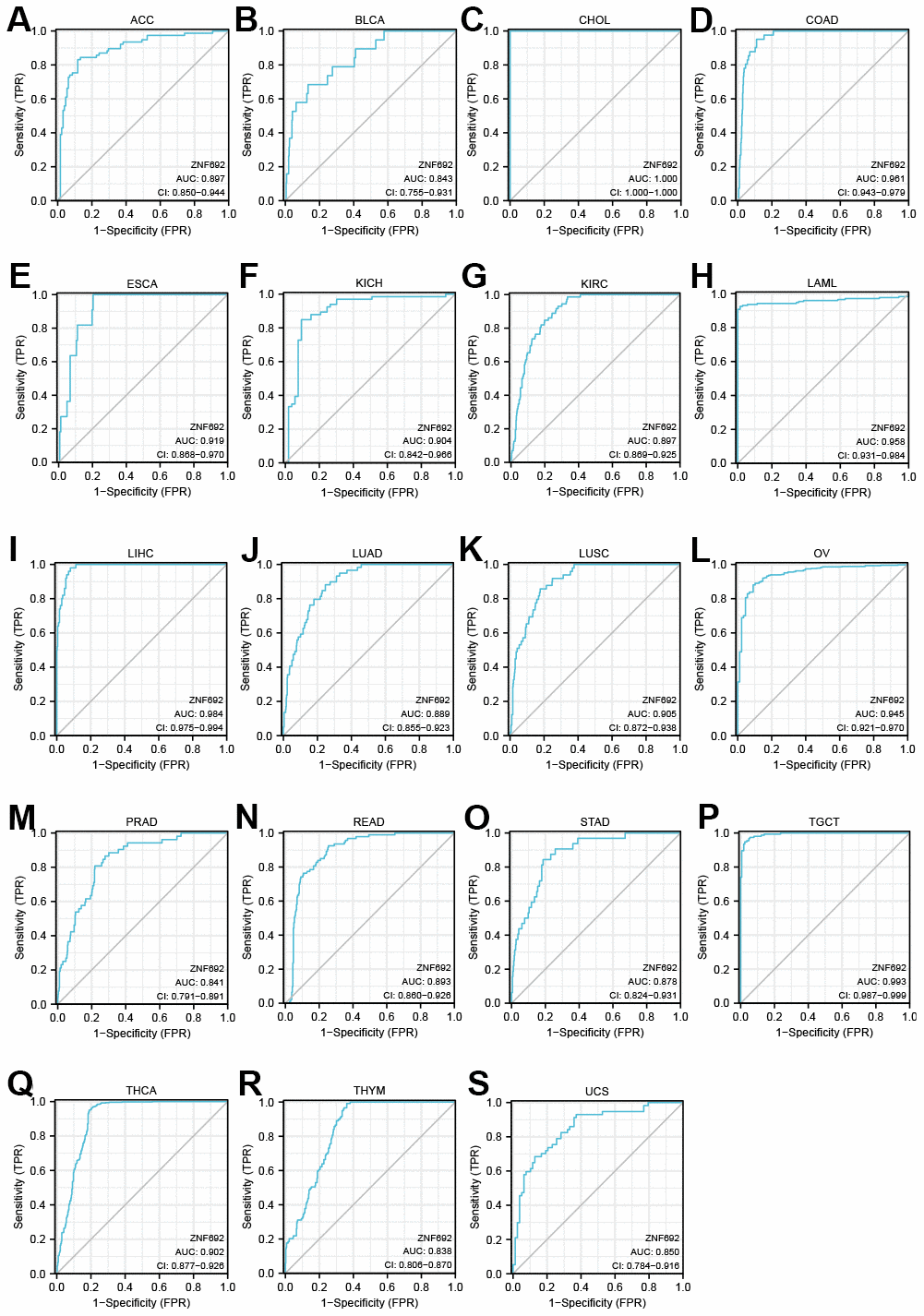 ROC curves showed that ZNF692 had a high diagnostic value (AUC>0.8) in several types of cancers. (A) ACC. (B) BLCA. (C) CHOL. (D) COAD. (E) ESCA. (F) KICH. (G) KIRC. (H) LAML. (I) LIHC. (J) LUAD. (K) LUSC. (L) OC. (M) PRAD. (N) READ. (O) STAD. (P) TGCT. (Q) THCA. (R) THYM. (S) UCS.