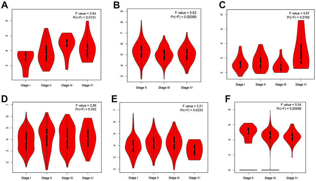 The expression of ZNF692 in pan cancer is associated with stage. (A) ACC. (B) BLCA. (C) KICH. (D) KIRC. (E) LICH. (F) OC.