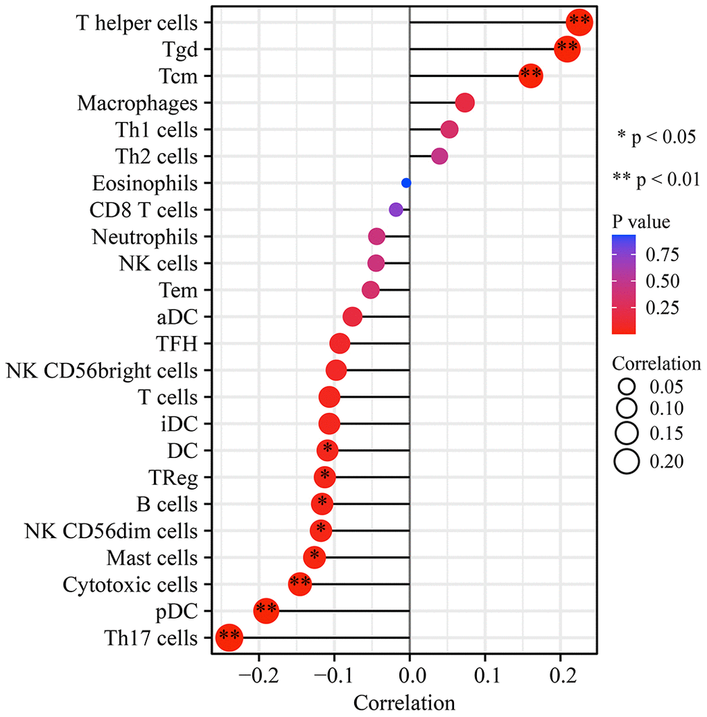 UFM1 expression correlation with immune infiltrating cells in OSCC using bubble plot. Note: OSCC, oral squamous cell carcinoma.