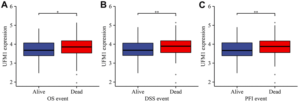 The relationship between UFM1 expression and dismal prognosis was explored based on the status of cancer patients in TCGA database. (A) OS; (B) DSS; (C) PFI. Note: OS, overall survival; DSS, disease-specific survival; PFI, progression-free interval.