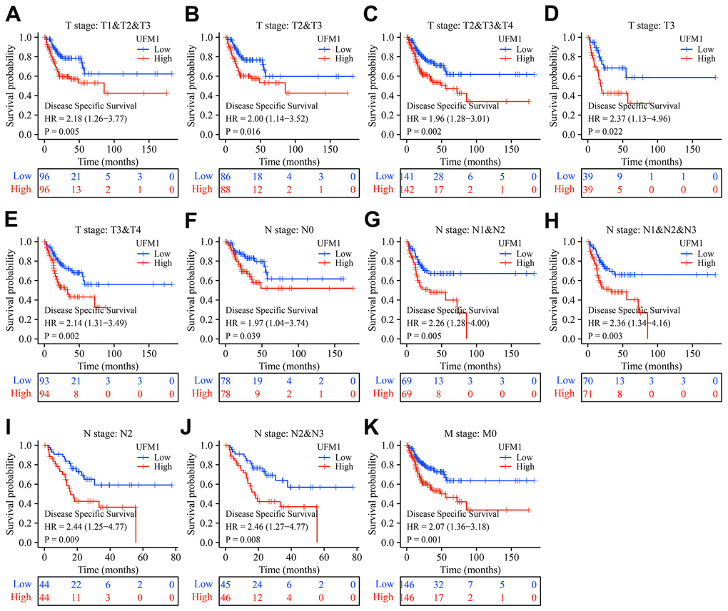 Elevated UFM1 expression associated with the shorter DSS in OSCC patients based on the data of TPM type in TCGA database. (A) Stage T1-3; (B) Stage T2-3; (C) Stage T2-4; (D) Stage T3; (E) Stage T3-4; (F) N0; (G) N1-2; (H) N1-3; (I) N2; (J) N2-3; (K) M0. Note: OSCC, oral squamous cell carcinoma; DSS, disease-specific survival; TPM, transcripts per million; TCGA, The Cancer Genome Atlas.