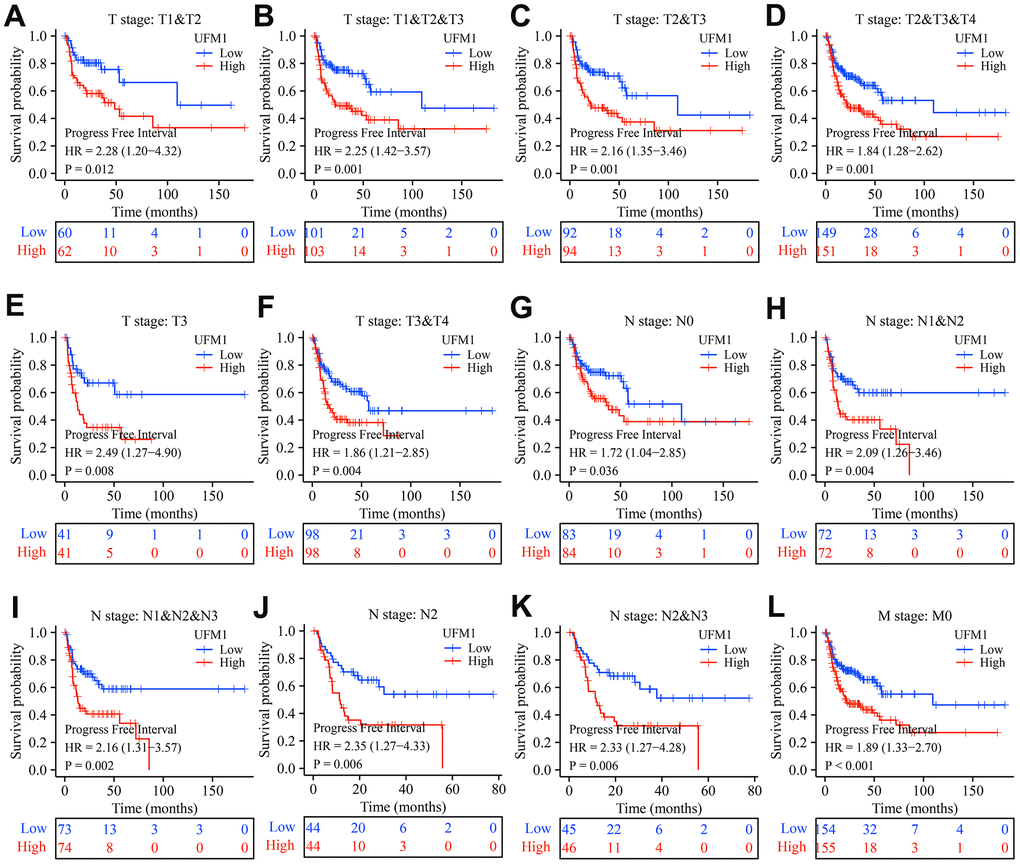 Elevated UFM1 expression associated with the shorter PFI in OSCC patients based on the data of TPM type in TCGA database. (A) Stage T1-2; (B) Stage T1-3; (C) Stage T2-3; (D) Stage T2-4; (E) Stage T3; (F) Stage T3-4; (G) N0; (H) N1-2; (I) N1-3; (J) N2; (K) N2-3; (L) M0. Note: OSCC, oral squamous cell carcinoma; PFI, progression-free interval; TPM, transcripts per million; TCGA, The Cancer Genome Atlas.