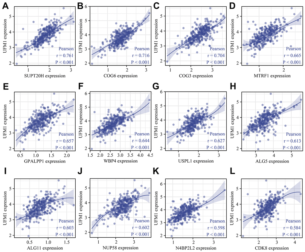 UFM1 co-expressed genes were shown using scatter plot. (A) SUPT20H; (B) COG6; (C) COG3; (D) MTRF1; (E) GPALPP1; (F) WBP4; (G) USPL1; (H) ALG5; (I) ALG11; (J) NUP58; (K) N4BP2L2; (L) CDK8.