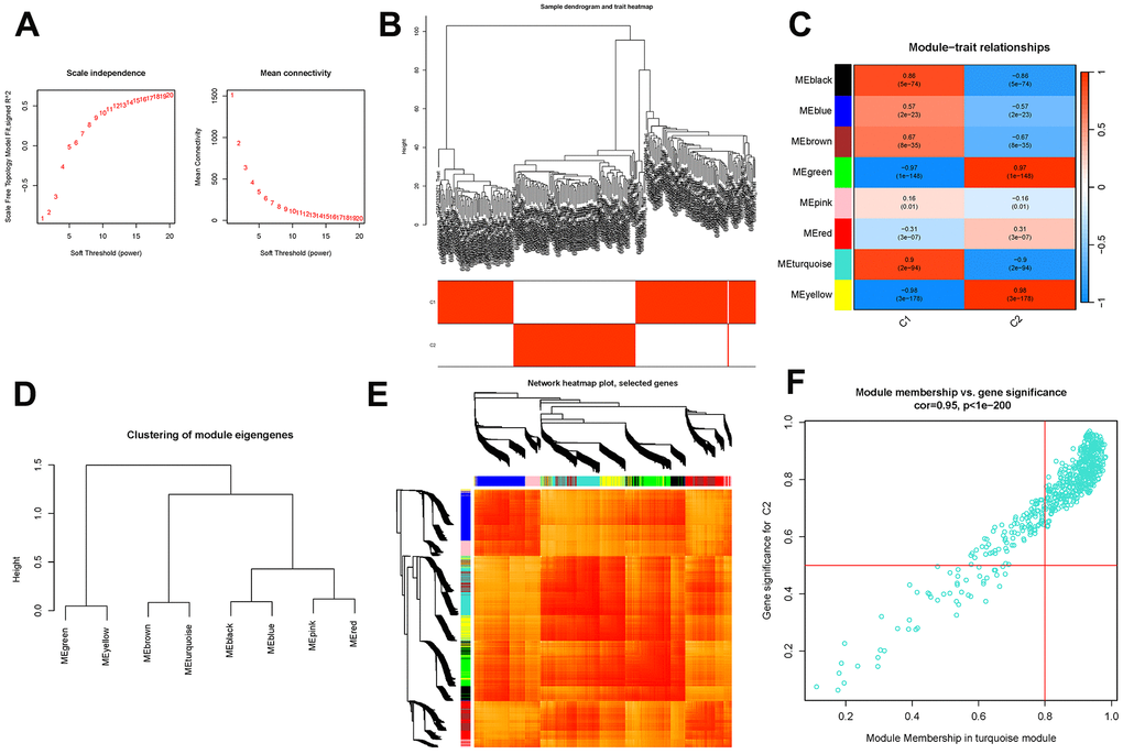 Co-expression module construction. (A) Soft threshold power mean connection and scale-free fitting index analysis. (B) Dendrogram clustering. (C) Heatmap of correlations between module eigengenes and clinical characteristics. (D) Gene scatterplot in the turquoise module. (E) Clustering of dendrograms according to dynamic tree cutting, the genes were sorted into distinct modules using hierarchical clustering with a threshold of 0.25. Each color represents a separate module. (F) Gene scatterplot in the turquoise module.