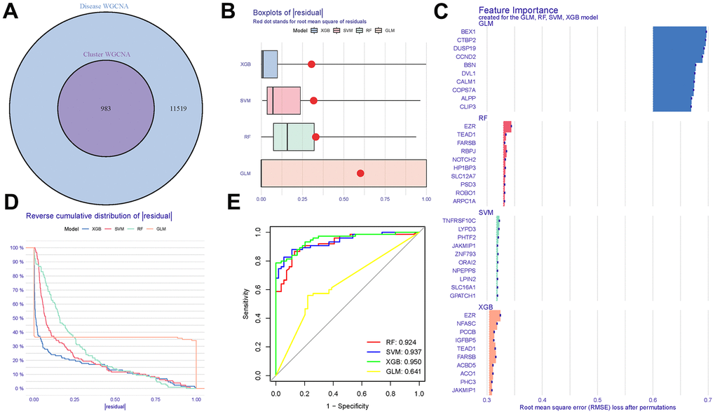 Cluster construction of co-expression modules. (A) Identification of tryptophan metabolism-related genes with a Venn diagram. (B, C) Residual expression patterns. (D) Model trend chart. (E) AUC of train group.