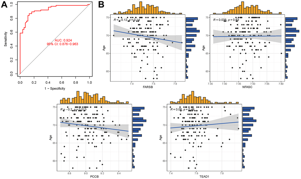 (A) AUC of test group. (B) Analysis of the relationship between hub genes and age.