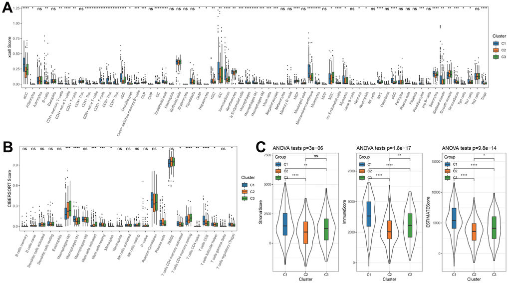 Characterization of the immune infiltration in three clusters. (A) XCELL analysis. (B) CIBERSORT analysis. (C) ESTIMATE analysis. *p 