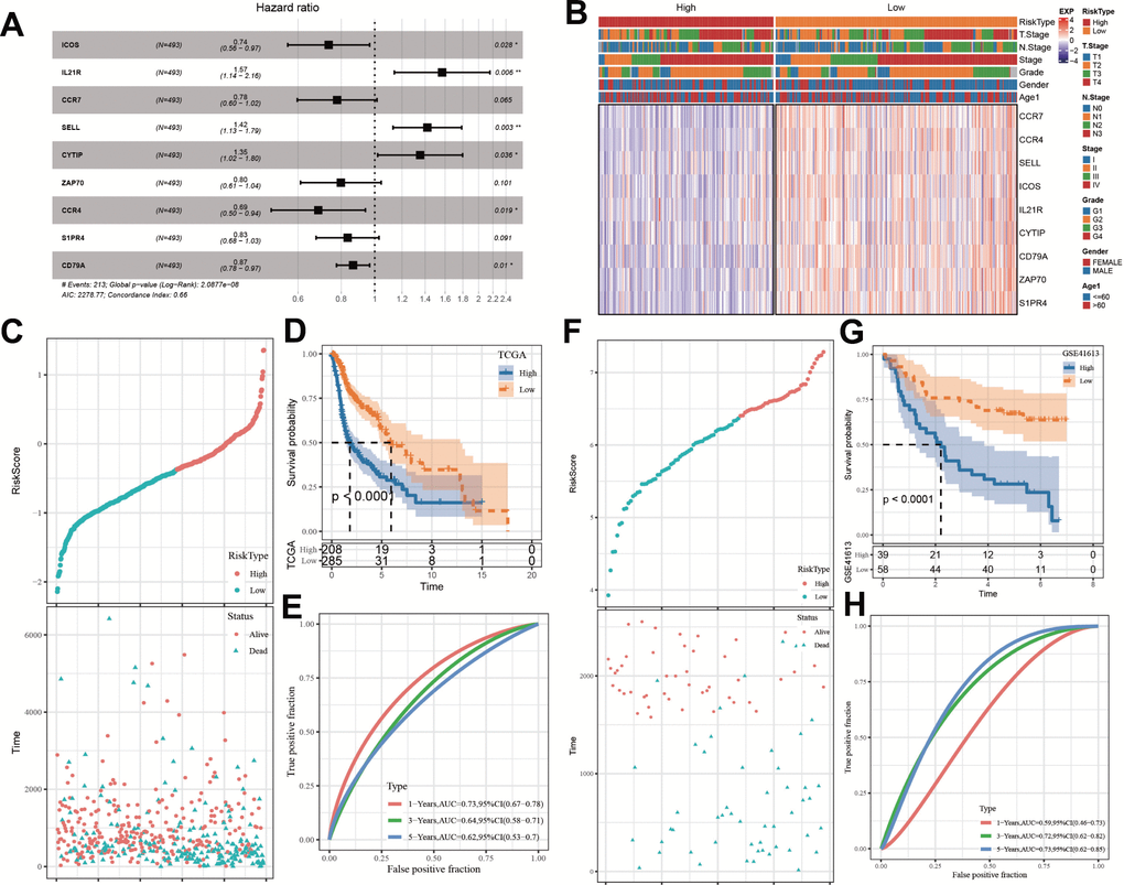 Establishment and assessment of an ARS signature. (A) Multivariate Cox analysis about 9 selected genes. (B) The expression differences of 9 selected genes in samples with different clinical characteristics. (C) The relationship of ARS with survival time and survival status in TCGA cohort. (D) Kaplan-Meier survival curve distribution of 9-gene signature in TCGA cohort. (E) Time-ROC analysis of 9-gene signature in TCGA cohort. (F) The relationship of ARS with survival time and survival status in GSE41613 queue. (G) Kaplan–Meier survival curve distribution of 9-gene signature in GSE41613 queue. (H) Time-ROC analysis of 9-gene signature in GSE41613 queue. *p 