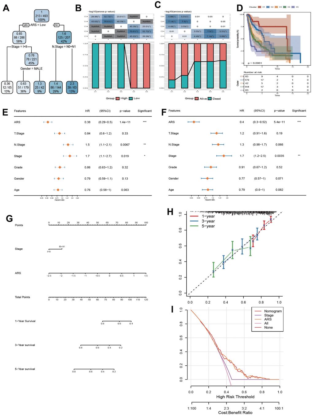 Construction and validation of a nomogram. (A) Construction of a decision tree. (B) Kaplan-Meier analysis for 5 subgroups. (C, D) Comparative analysis of high and low ARS population and survival status among 5 subgroups. (E, F) Univariate and Multivariate Cox regression analysis concerning ARS and clinic features. (G) Construction of a nomogram. (H) Calibration curve of the nomogram for 1, 3, and 5 years. (I) Decision curve of the nomogram.