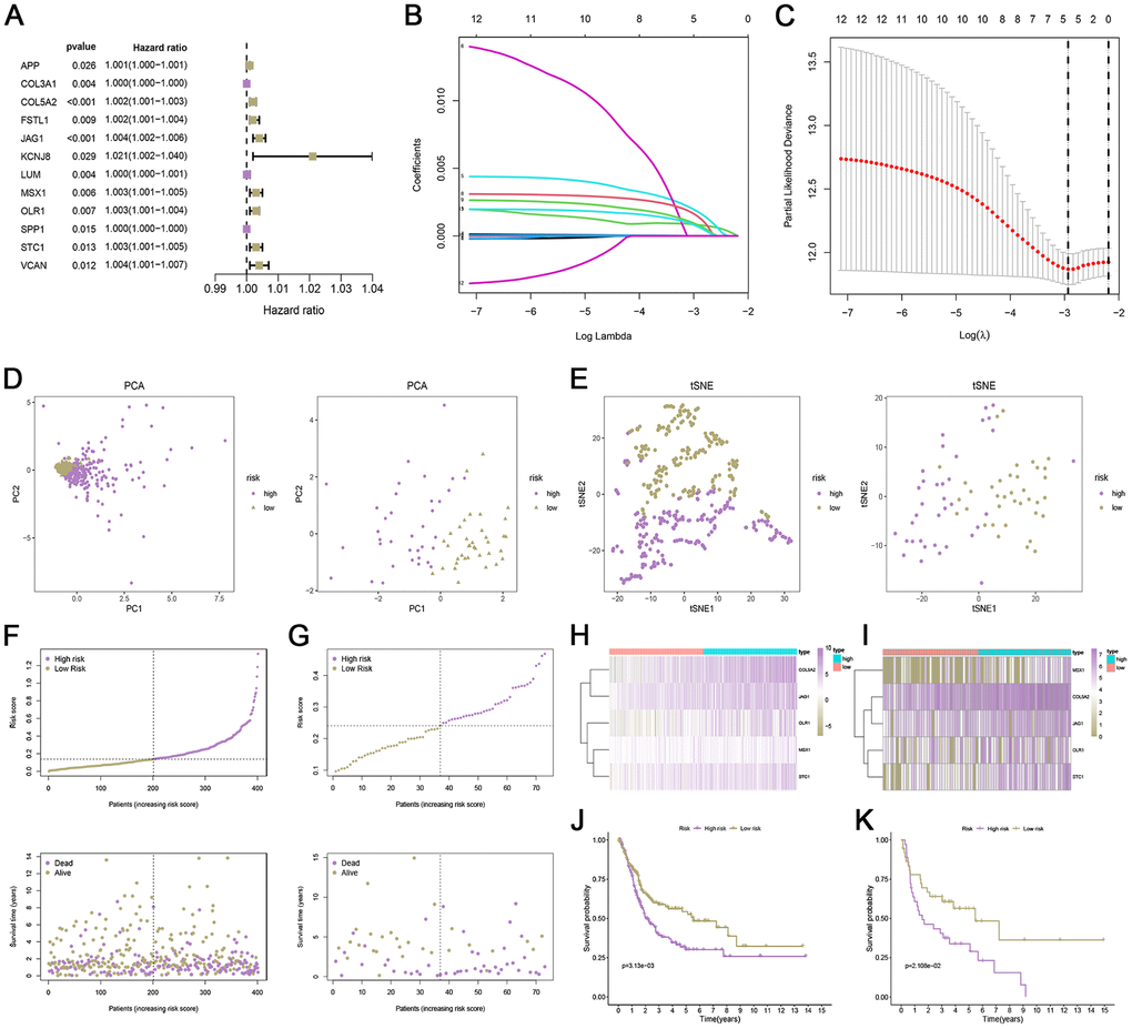 Development and verification of an angiogenesis-related risk model. (A) Univariate analysis of genes related to angiogenesis. (B) LASSO coefficient spectrum of 12 angiogenesis. (C) Cross-validation for tuning parameter selection in the LASSO regression. (D, E) PCA and t-SNE analyses based on risk scores in the TCGA cohort and GEO cohort. (F, G) The distribution of ARG