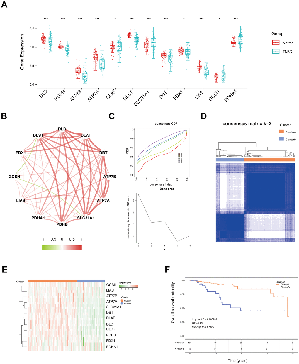 Identification of different cuproptosis patterns in TNBC. (A) The expression of twelve cuproptosis-related genes in normal and TNBC tissues from TCGA data. (B) The correlation network between twelve cuproptosis genes in TNBC. (C) Cumulative distribution function (CDF) and relative change in the area under the CDF curve (CDF Delta area) of consensus clustering based on cuproptosis-related genes. (D) Unsupervised consensus clustering (k = 2) divides TNBC samples into cluster A and cluster B based on 12 cuproptosis-related genes. (E) The different expression of twelve cuproptosis genes between two clusters displayed with a heatmap. (F) KM curves of overall survival for the two cuproptosis clusters. (* P