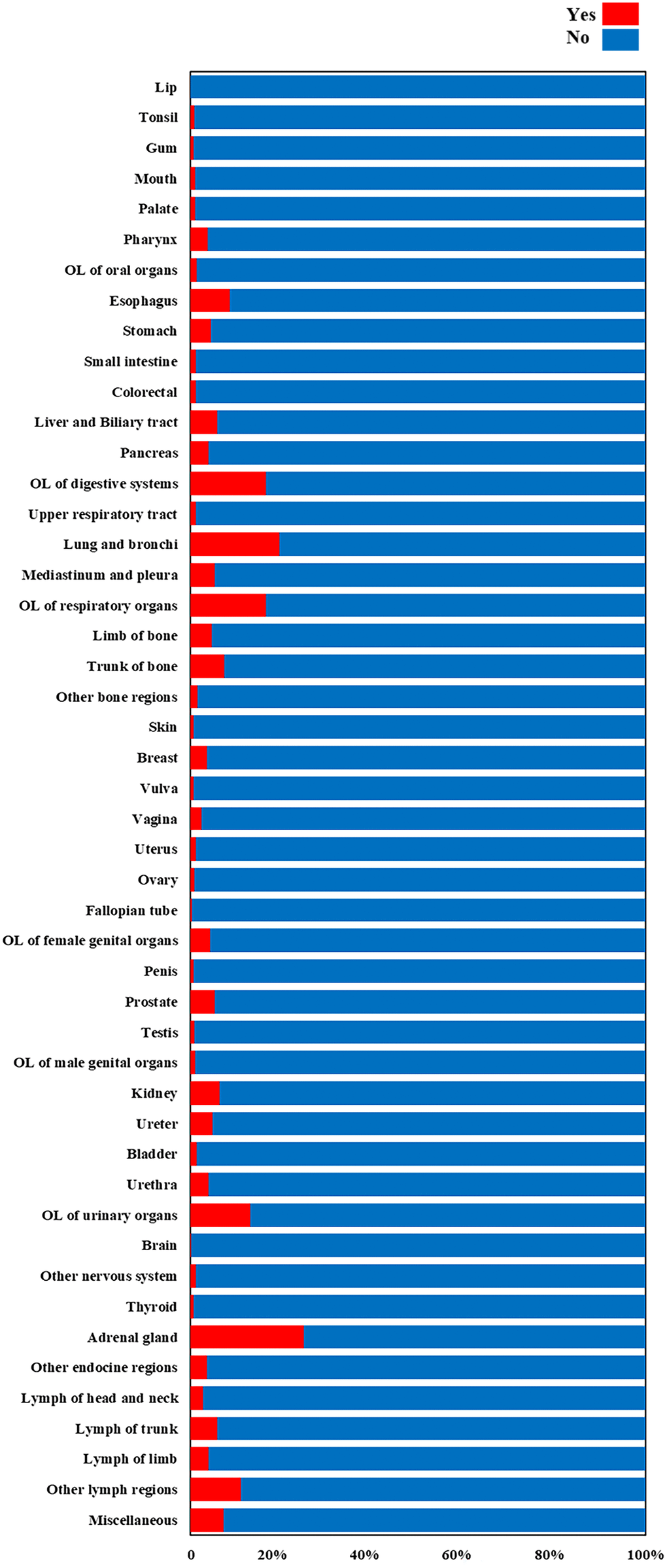 The prevalence of BM among different primary cancers.