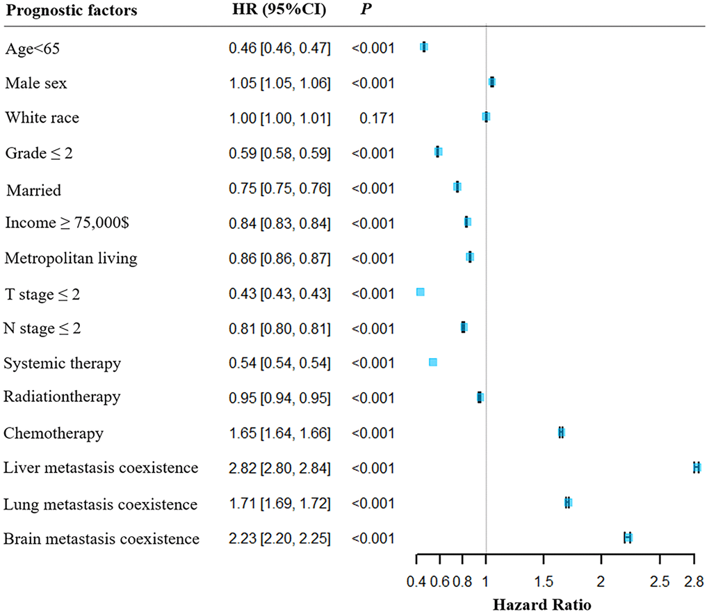 Forest plot for the illustration the overall survival in patients with or without BM. HR, hazard rate; CI, confidence interval.