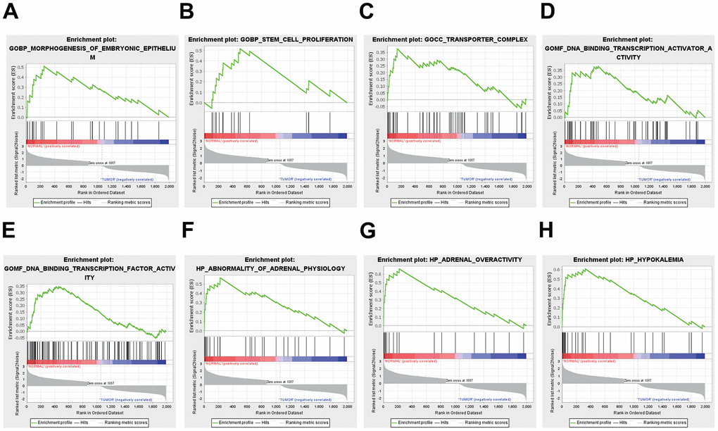 Functional enrichment analysis results from GSEA. (A, B) BP, (C) CC, (D, E) MF, (F–H) HP analysis by GSEA.