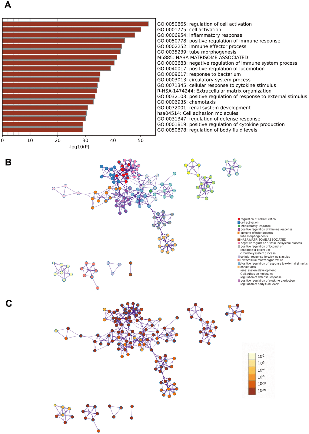 Metascape enrichment analysis. (A) Heatmap of enriched terms across input differently expressed gene lists, colored by p-values. (B) Network of enriched terms colored by cluster identity. (C) Network of enriched terms colored by p-value.