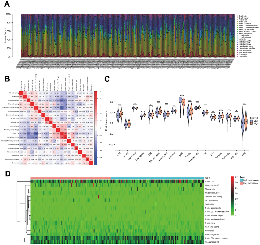 Immune infiltration analysis. (A) Fractions of immune cells in whole KIRC sample. (B) The correlational heatmap of 20 difference immune cells. (C) Violin plots of the distribution of difference immune cells. (D) Calorigram reflecting the distribution of the immune activity in esophageal cancer.