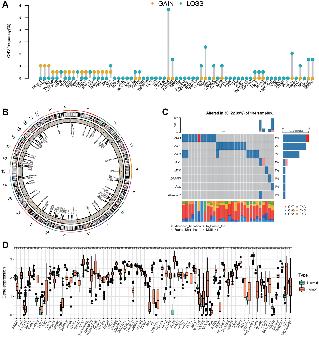 Variation in expression of necroptosis-related genes in AML. (A) The CNV frequencies of 67 necroptosis-related genes. The frequencies of amplification and deletion are labeled as orange dots and green dots, respectively. (B) The position of the CNV alteration of necroptosis-related genes on 23 chromosomes. (C) Mutation frequency of the top-eight necroptosis-related genes in 134 patients with AML. (D) A boxplot indicating expression of the 67 necroptosis-related genes between normal samples and AML samples (*P **P ***P 