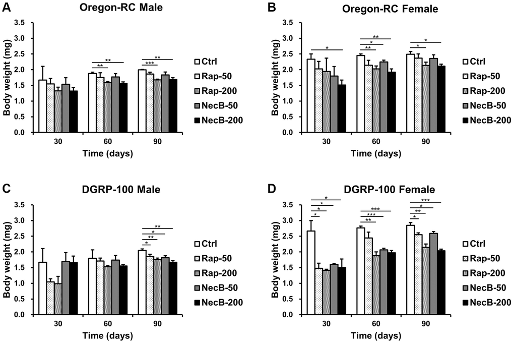 The effects of NecB on changes in the body weights of D. melanogaster. (A) Oregon-RC males, (B) Oregon-RC females, (C) DGRP-100 males and (D) DGRP-100 females. Ctrl represents standard cornmeal medium; Rap-50 represents cornmeal medium supplemented with Rapamycin at 50 μg/mL; Rap-200 represents cornmeal medium supplemented with Rapamycin at 200 μg/mL; NecB-50 represents cornmeal medium supplemented with NecB at 50 μg/mL; and NecB-200 represents cornmeal medium supplemented with NecB at 200 μg/mL (Supplementary Table 1). The body weights were measured on the 30th, 60th, and 90th day. The data are from three independent experiments, and values are shown as mean ± s.e.m. An unpaired Student’s t-test was used for the statistical analysis; n = 30, *p **p ***p 