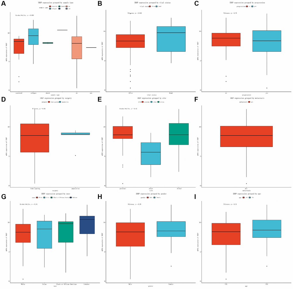 Expression of IBSP in subgroups. (A) Sample type. (B) Vital status. (C) Progression. (D) Surgery. (E) Site. (F) Metastasis. (G) Race. (H) Gender. (I) Age.