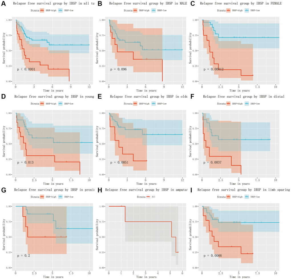 The relationship between IBSP expression and relapse free survival. (A) Relapse free survival group by IBSP in all tumors. (B–I) Relapse free survival group by IBSP in male, female, younger, older, distal, proximal, amputation, and limb sparing.